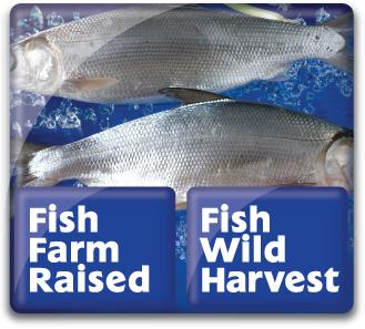 Fish Farm Raised & Fish Wild Harvest